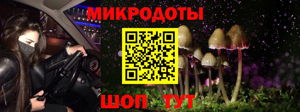 Галлюциногенные грибы мухоморы Гатчина
